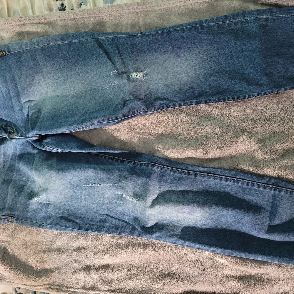 Bebe Classic Blue Denim Jeans